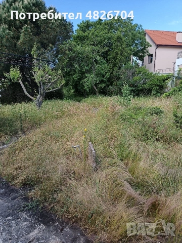 косене на трева оформене на храсти 