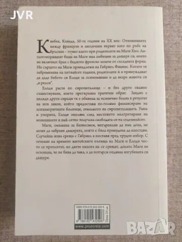 Дом за нежелани момичета / Джоана Гудман, снимка 2 - Художествена литература - 55578304