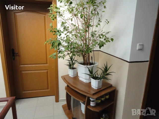 Sony Cyber-shot DSC-H55  - 14.1 MPx, снимка 14 - Фотоапарати - 54117639