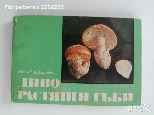 Диворастящи гъби