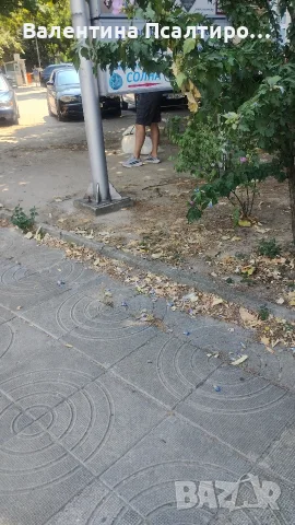 възпитание на чувствата 