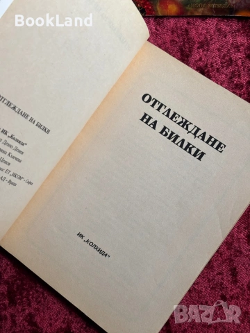 Отглеждане на билки| Колхида, снимка 9 - Други - 54367985