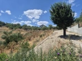 Терен за депониране, засипване с пръст, земя,почва, снимка 3