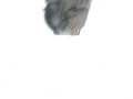 Корпус на термостата за Ford Transit Connect 1.8 TDDi (2002-2008) 2S4Q-9K478-AD, снимка 1