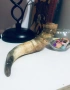 Стар Биволски рог, снимка 2