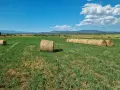 Бали люцерна с трева, снимка 7