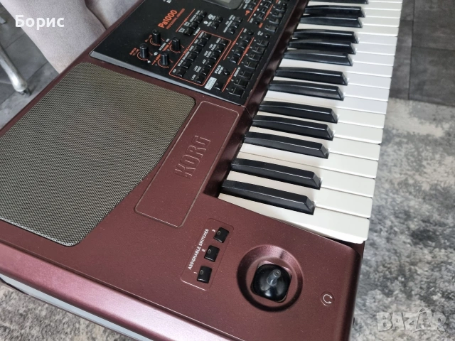 korg pa1000