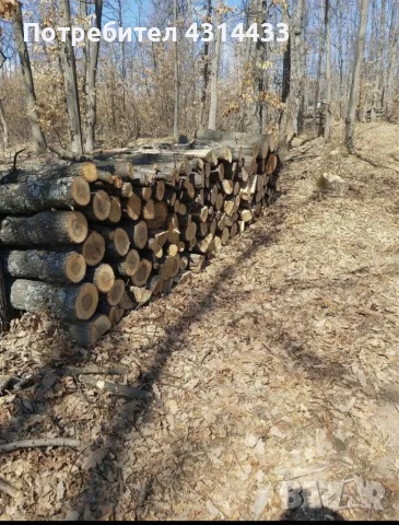 Дърва за огрев ., снимка 3 - Дърва за огрев - 55395727