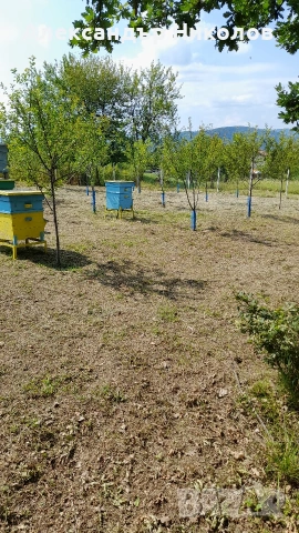 Продава се парцел в село Пецовци, снимка 7 - Парцели - 55091766