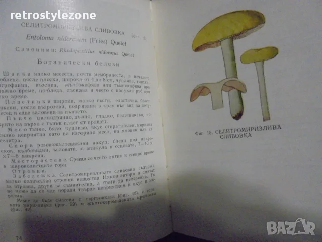 № 8726 Стара книга „Отровните гъби и техните ядливи двойници“  , снимка 3 - Други - 55631389