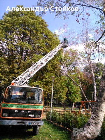 Рязане и кастрене на дървета с автовишка
