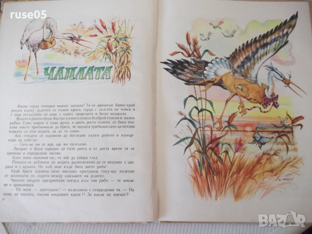 Книга "Басни - Лафонтен" - 48 стр., снимка 5 - Детски книжки - 54679329