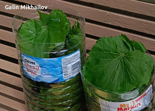 Пресен Бадем, лозови листа, черници, снимка 14 - Домашни продукти - 55157471