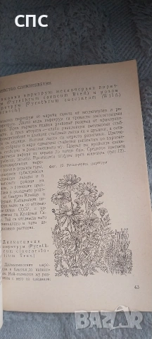 книга,,Растения защитават растения,,, снимка 3 - Специализирана литература - 54588901