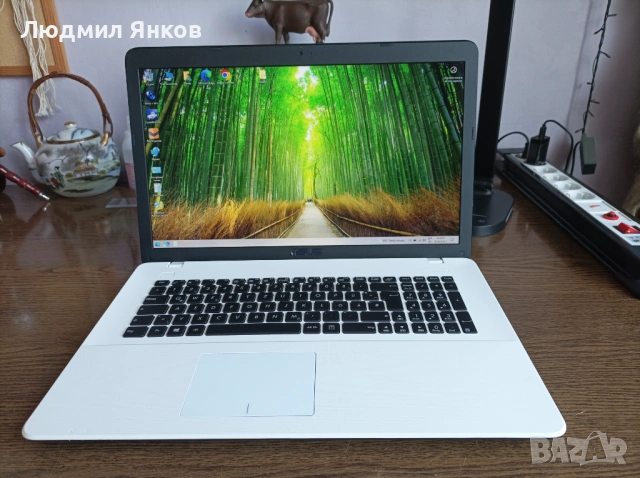 Снежнобял ASUS 17.3" | 4-ядрен Intel | 8GB RAM | 256GB SSD | НОВА Батерия