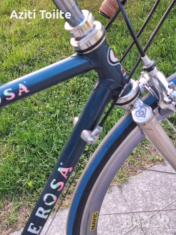 de ROSA