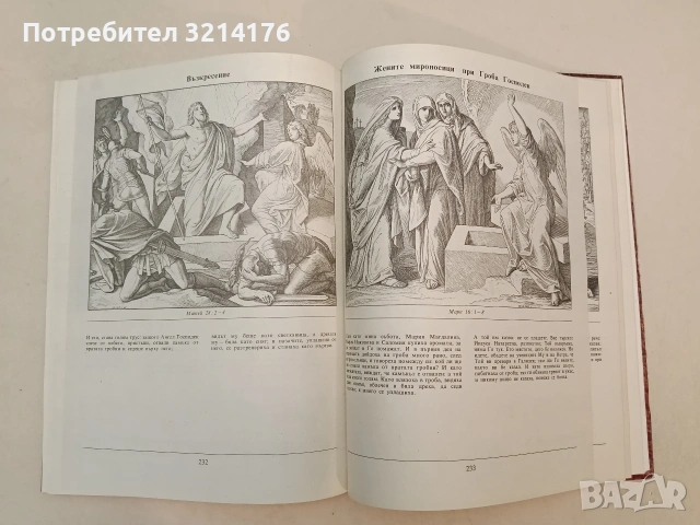 Илюстрирана Библия. 240 гравюри на дърво от Юлиус Шнор фон Каролсфелд - Юлиус Шнор фон Каролсфелд , снимка 5 - Специализирана литература - 55277163