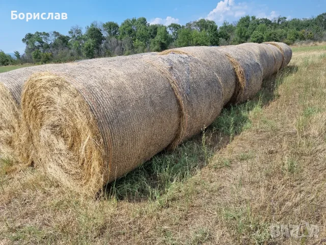 Продавам Бали сено, снимка 2 - За селскостопански - 55352644