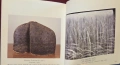 American Art of the Twentieth Century, снимка 11