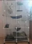 Подарявам катерици Дегу, снимка 2