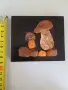 Картина с балтийски кехлибар 9.,0*10,5 см, снимка 1