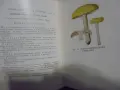 № 8726 Стара книга „Отровните гъби и техните ядливи двойници“  , снимка 3