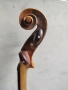 Jacobus Stainer цигулка, снимка 10