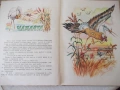 Книга "Басни - Лафонтен" - 48 стр., снимка 5