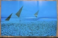 Pink Floyd Dark Side first press SHVL804 solid blue triangle , снимка 6