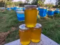 Пчелен мед липа, снимка 1