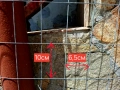 Елетрозаварена оградна мрежа / налични 6 топа, снимка 2