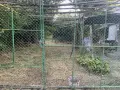 Къща в село Засмяно на 30км от Варна, снимка 11