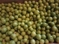 Зелени джанки- 6E, 5E, 4E, 3E, 2E, снимка 1