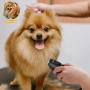 Машинки за подстригване на кучета HOLDOG, снимка 7