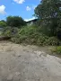Почистване на дворни места за варени парцели, снимка 1