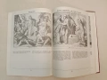 Илюстрирана Библия. 240 гравюри на дърво от Юлиус Шнор фон Каролсфелд - Юлиус Шнор фон Каролсфелд , снимка 5