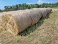 Продавам Бали сено, снимка 2