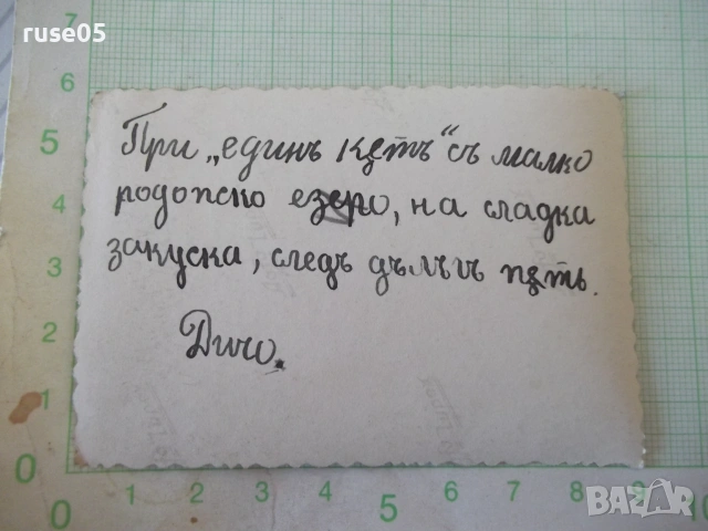 Снимка на двама младежи на брега на родопско езеро стара, снимка 2 - Колекции - 55285651