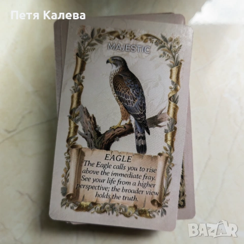Animal Oracle , снимка 3 - Карти за игра - 54941437