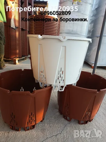 Контейнери за боровинки.
