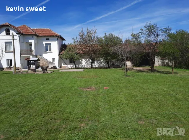 House to rent or sale