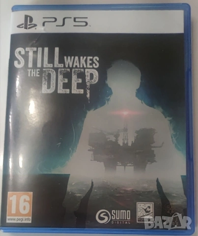 PS5-Still Wakes To Deep-20 евро