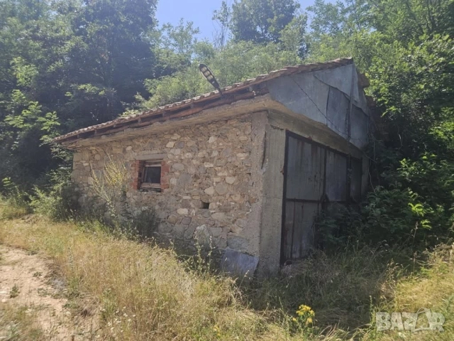Урегулиран парцел 1500 кв.м. с ток, вода и стара къща в с. Дружинци, снимка 3 - Къщи - 54954490