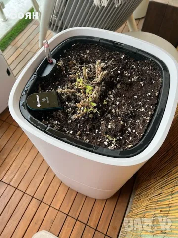 GARDENA SMART сензори за влажност/температура за градина/саксии с WiFi управление, снимка 3 - Други - 55680969