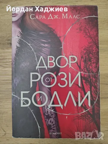 Двор от рози и бодли - Сара Дж. Маас