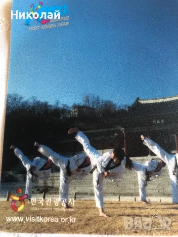 Корейски падове за мишка – традиционна кухня и таекуондо „Visit Korea Year 2010–2012“, снимка 9 - Колекции - 55338558