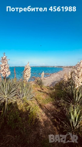 Бунгало на първа линия море