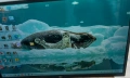 Монитор LG 32 '' , снимка 4
