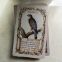 Animal Oracle , снимка 3
