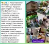 Почивка в Равда, снимка 5